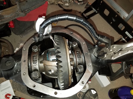 Figure 19